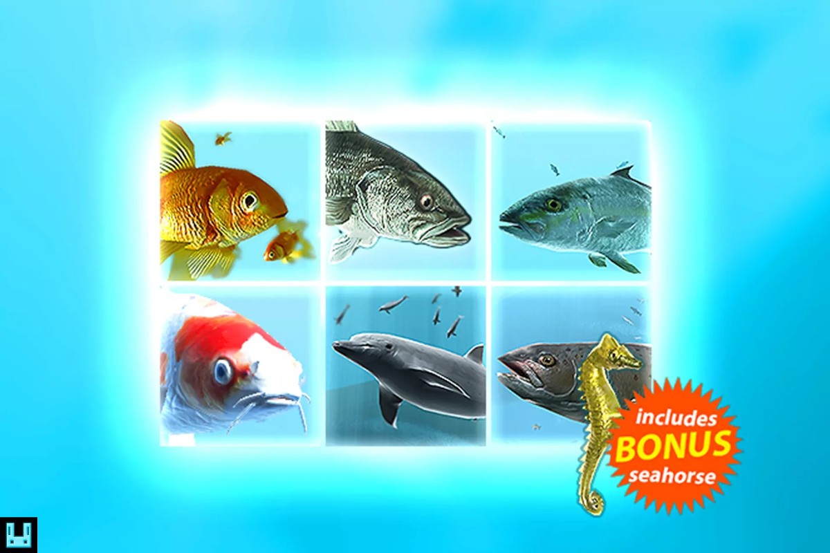 Fish School Bundle 1.3.3    鱼类鱼群