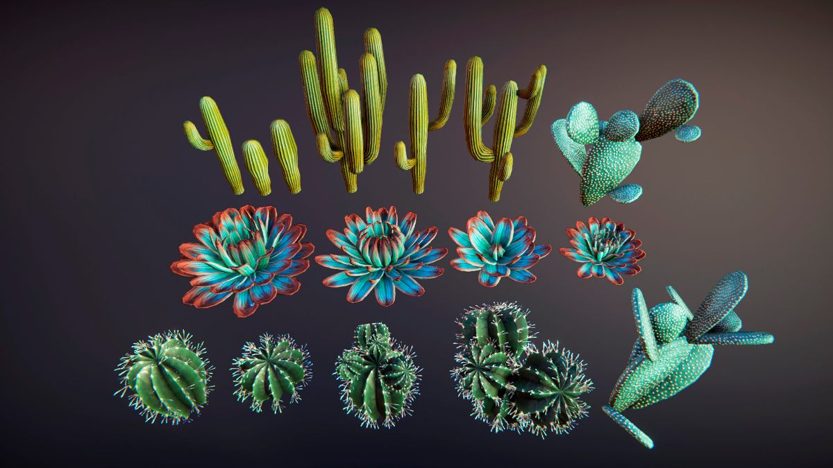 Cacti 虚幻4.18-4.27,5.0仙人掌多肉写实植物模型