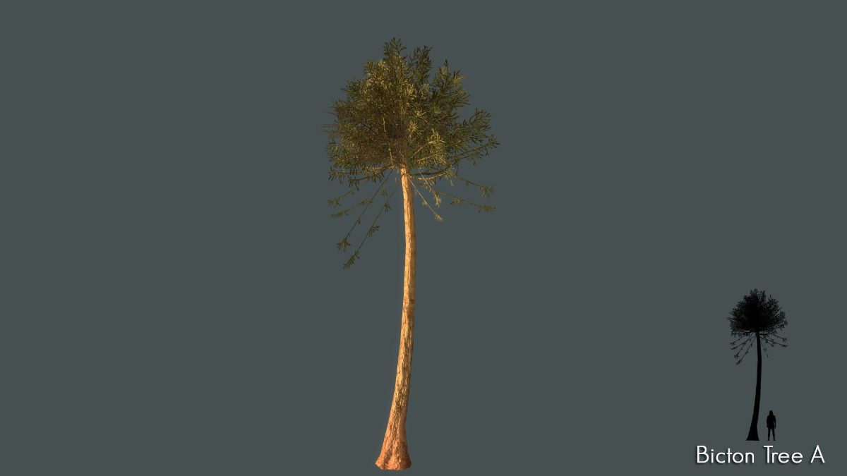 low-poly-tree-pack-3d-model-low (2)_resized.jpg