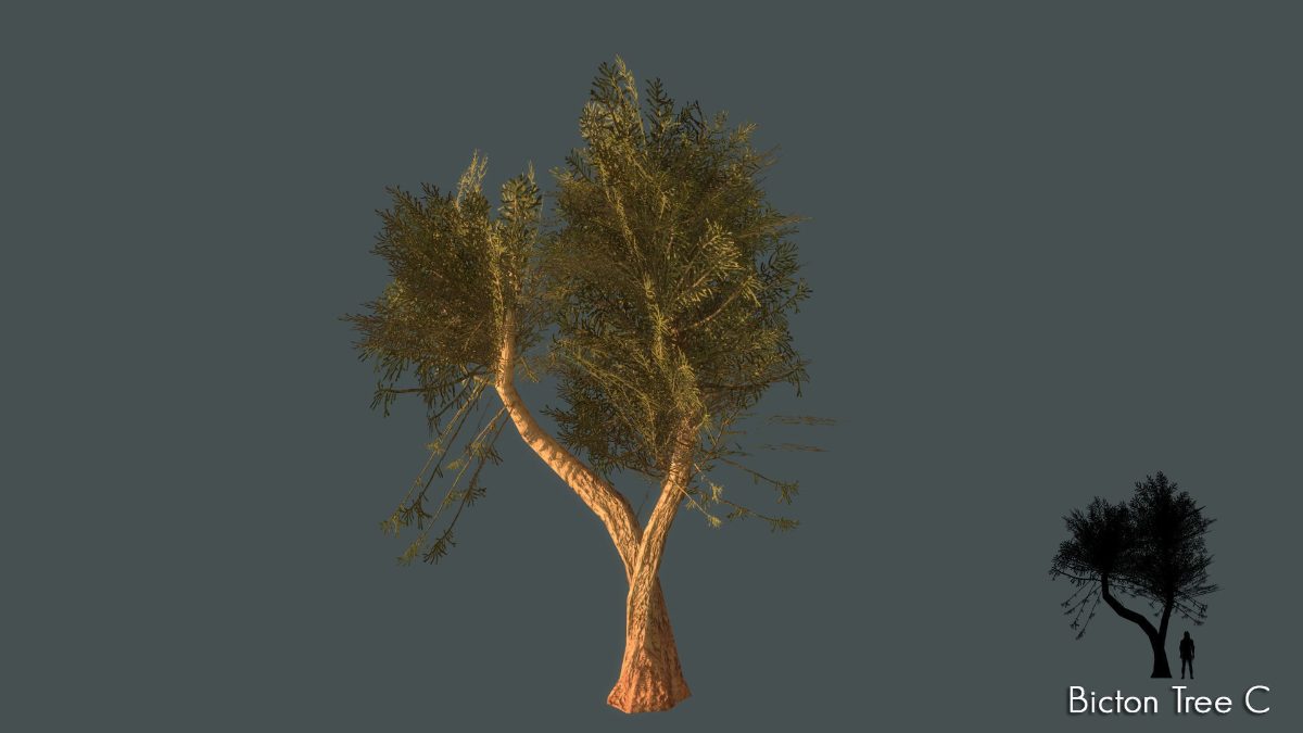 low-poly-tree-pack-3d-model-low (6)_resized.jpg